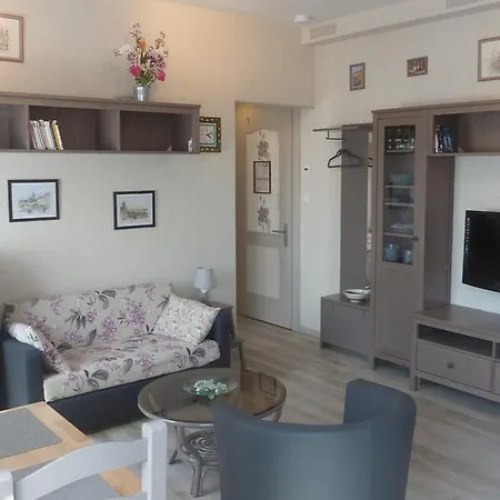 Au Cygne Apartment *