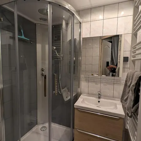 Au Cygne Apartment *