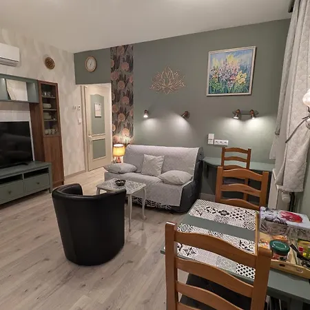 Apartment Au Cygne *