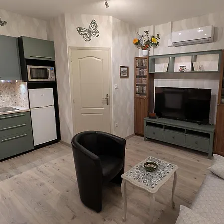 Au Cygne Apartment Hoerdt