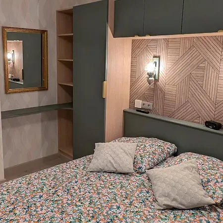 Au Cygne Appartement