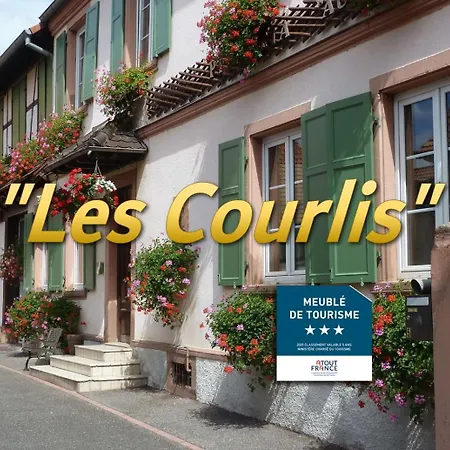 Apartment Au Cygne *