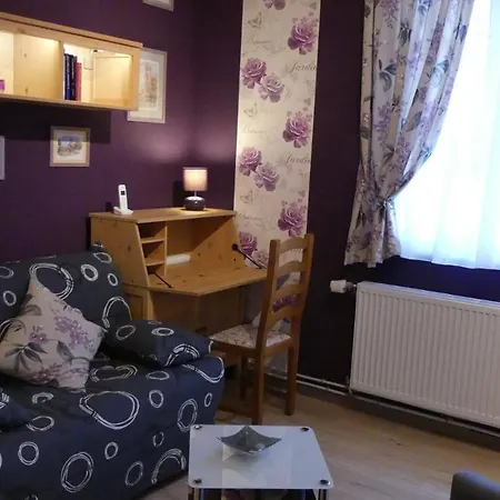 Au Cygne Apartment Hoerdt