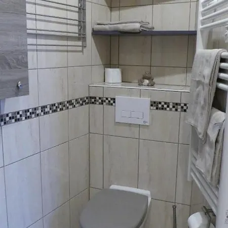 Apartment Au Cygne Hoerdt